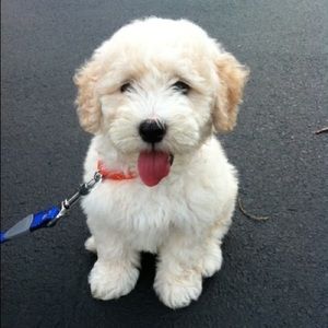 Meet your Posher, Christine